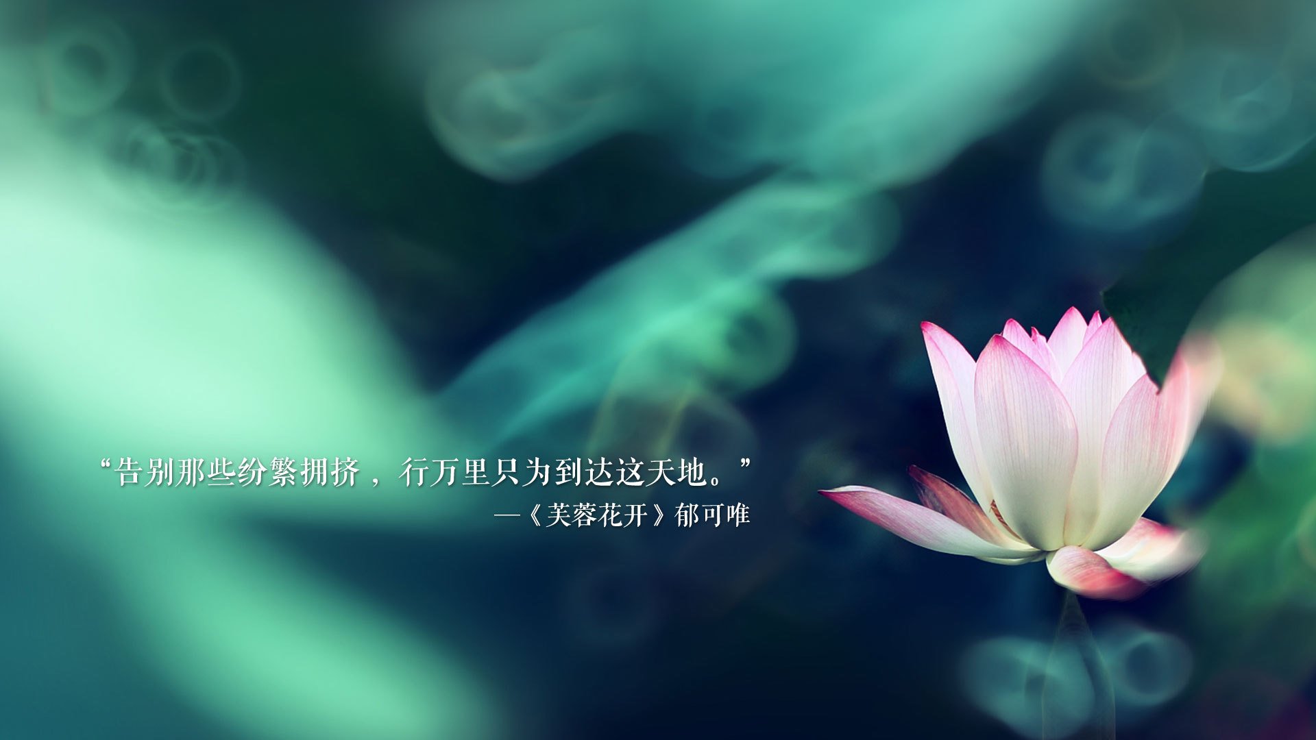 开云体育入口-_青少年徒步赛：一场从脚步开始的成长旅程_，徒步竞赛