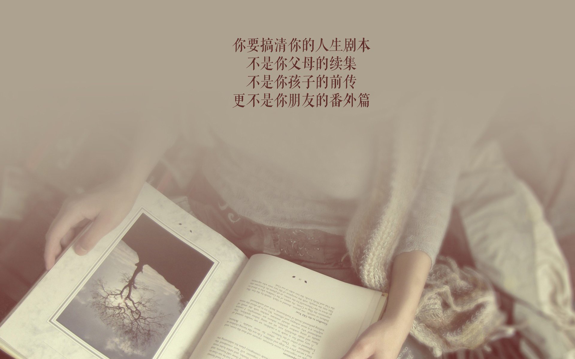 全国篮球联赛，青年新星闪耀赛场，中国青年篮球联赛叫什么