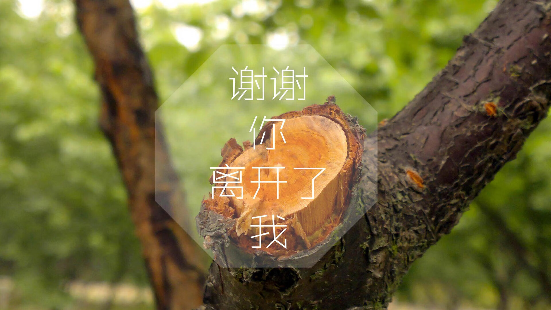 全国多地推行“足球场地自行冠名”，推动足球场馆社会化运营，足球比赛场馆