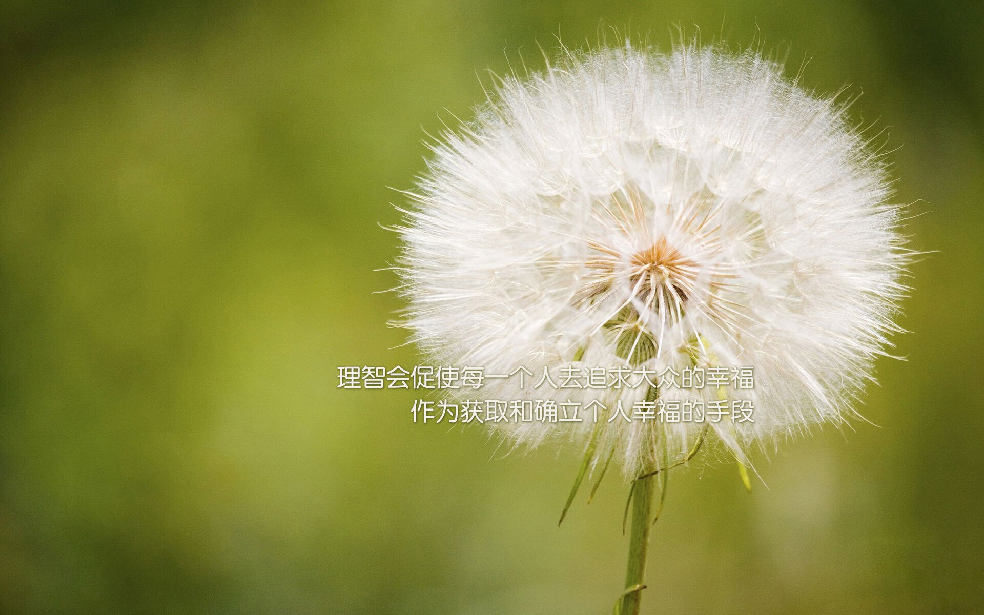 女排联赛：逆转绝杀惊艳四座，女排联赛程