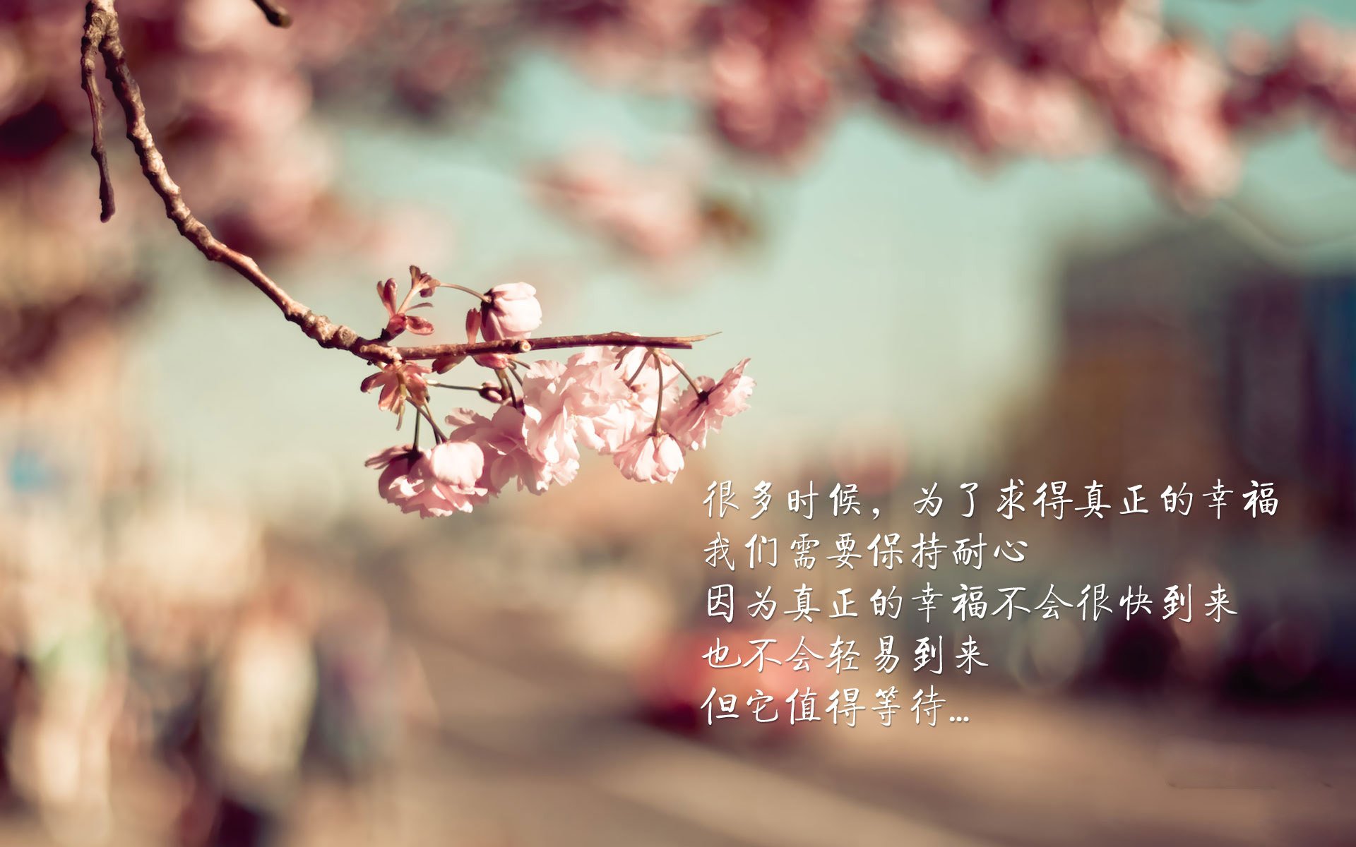 恩比德续约消息尘埃落定，球队未来充满信心，恩比德合同有球员选项吗