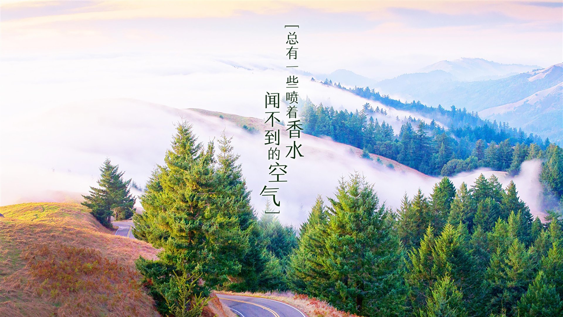 挪威队未能晋级欧洲杯，哈兰德表示失望，挪威队未能晋级欧洲杯,哈兰德表示失望吗