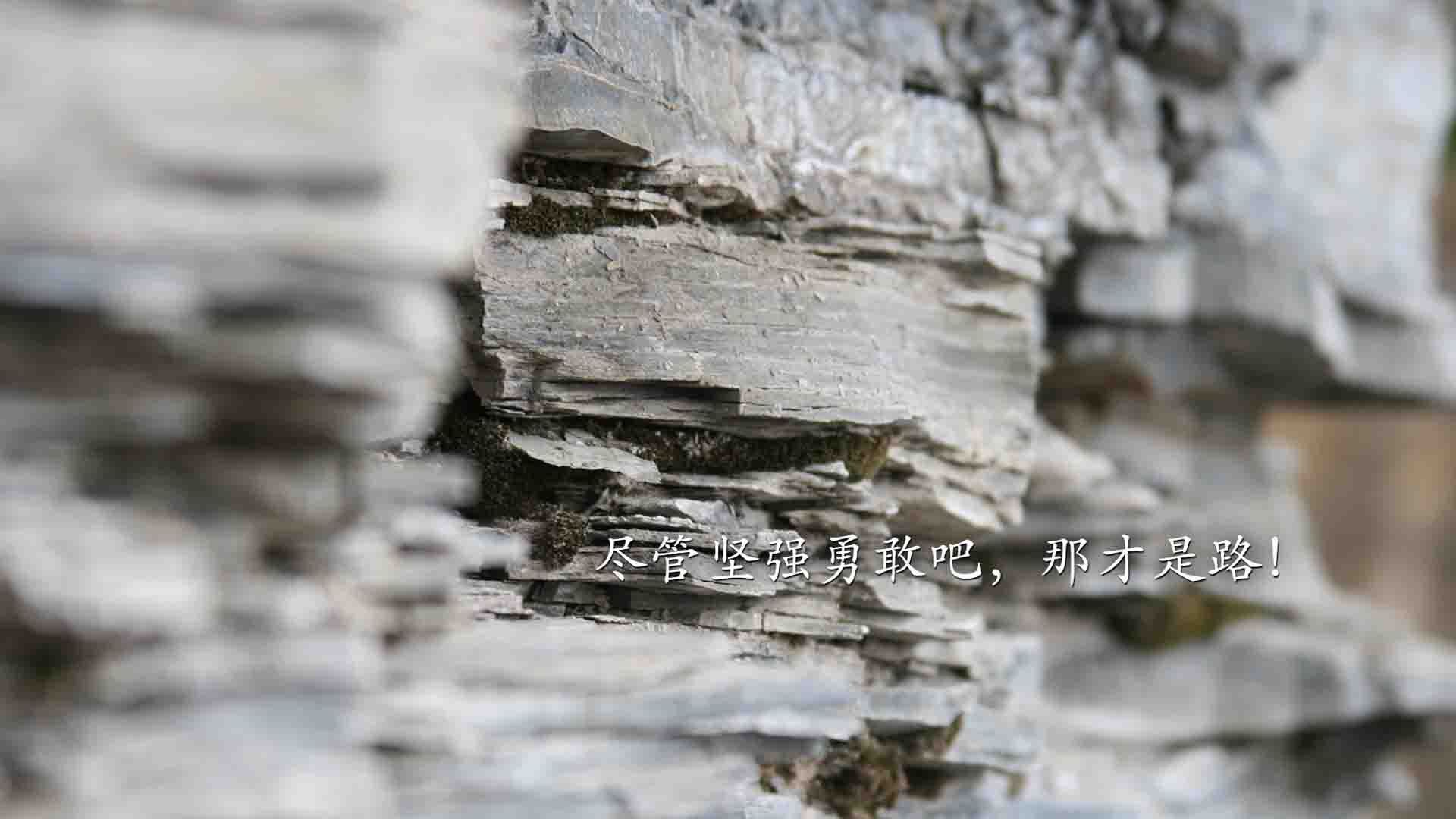 中国篮球整体风格趋向现代化快节奏成新趋势，中国篮球体系